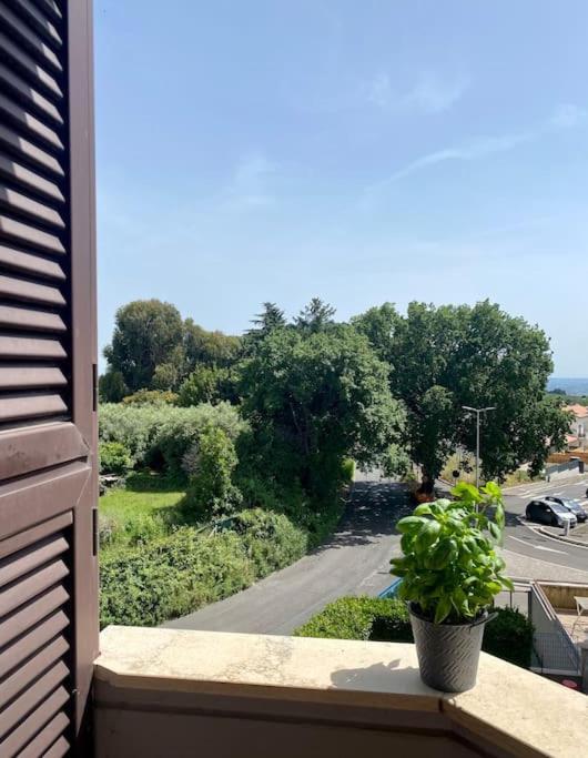 Appartamento A Casa Di Tina Genzano di Roma Esterno foto